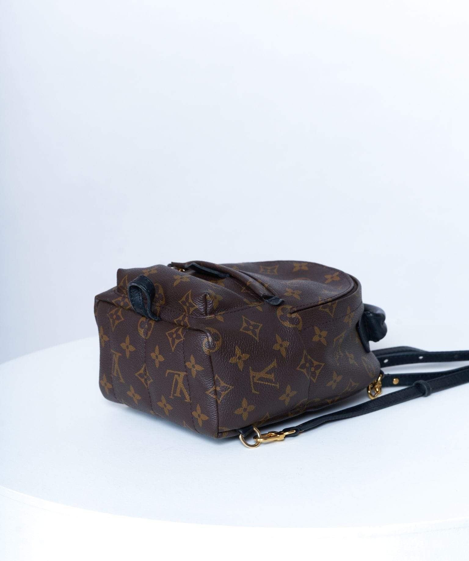 Louis Vuitton Louis Vuitton Palm Springs Backpack