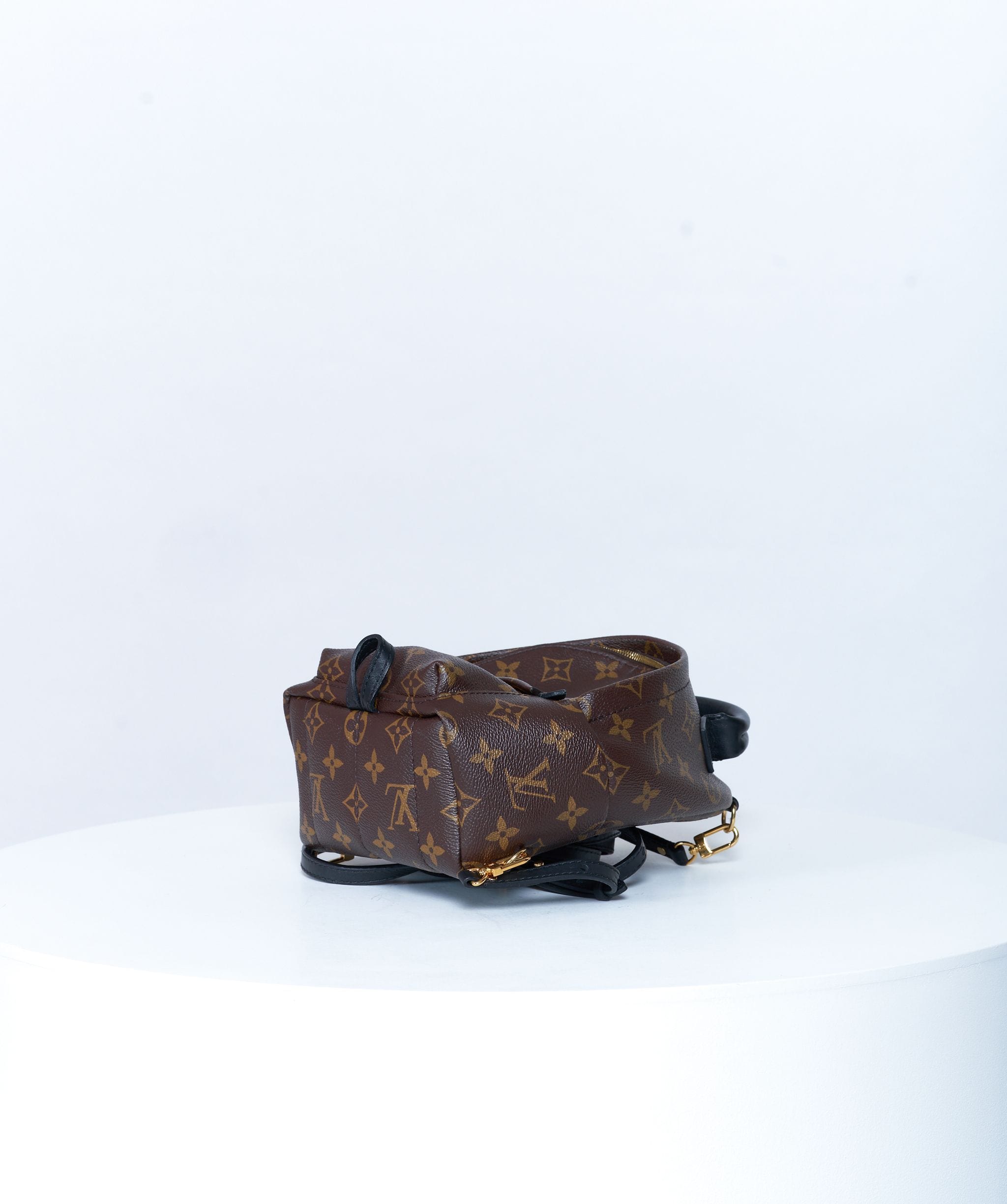 Louis Vuitton Louis Vuitton Palm Springs Monogram Backpack