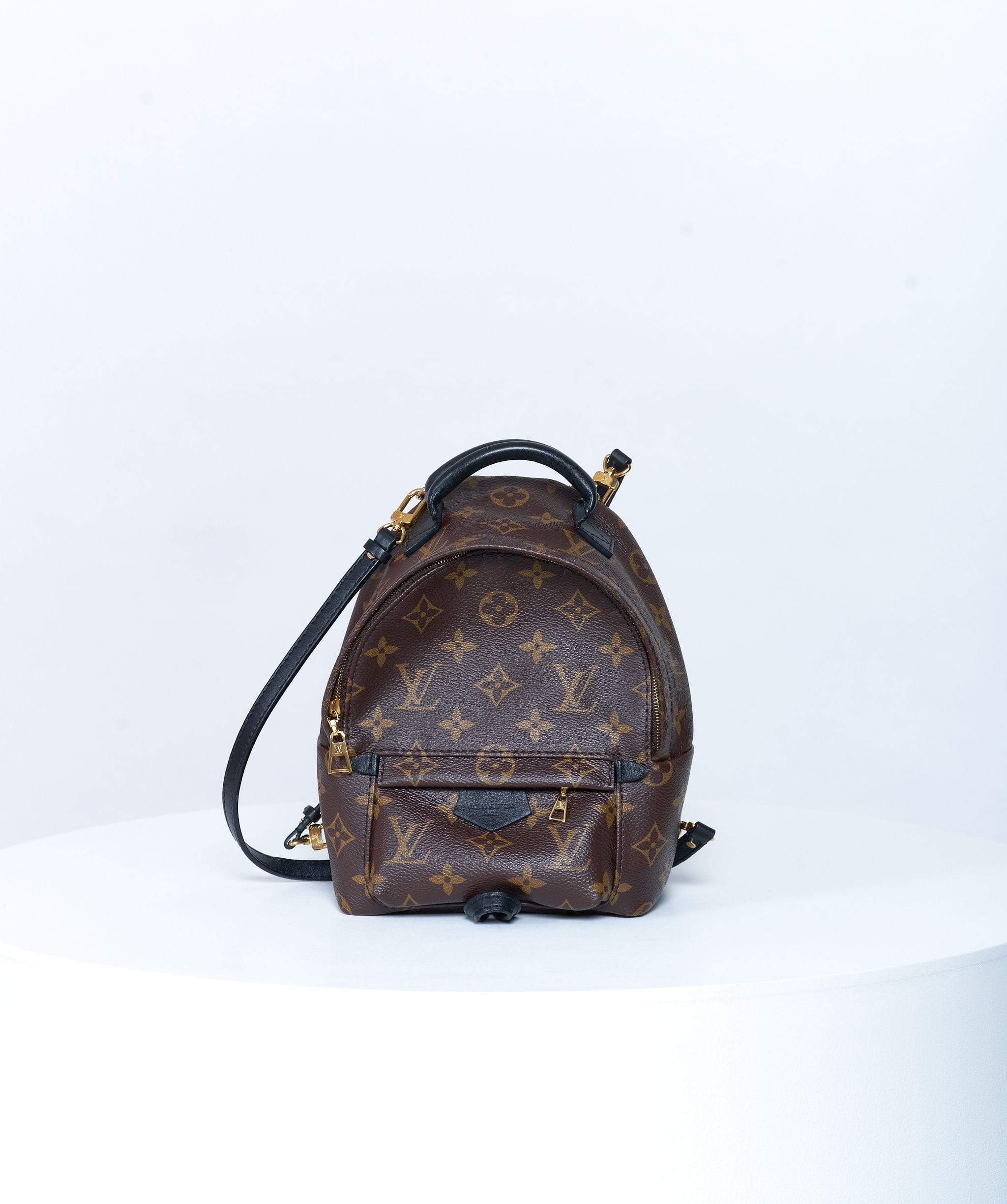 Louis Vuitton Louis Vuitton Palm Springs Monogram Backpack