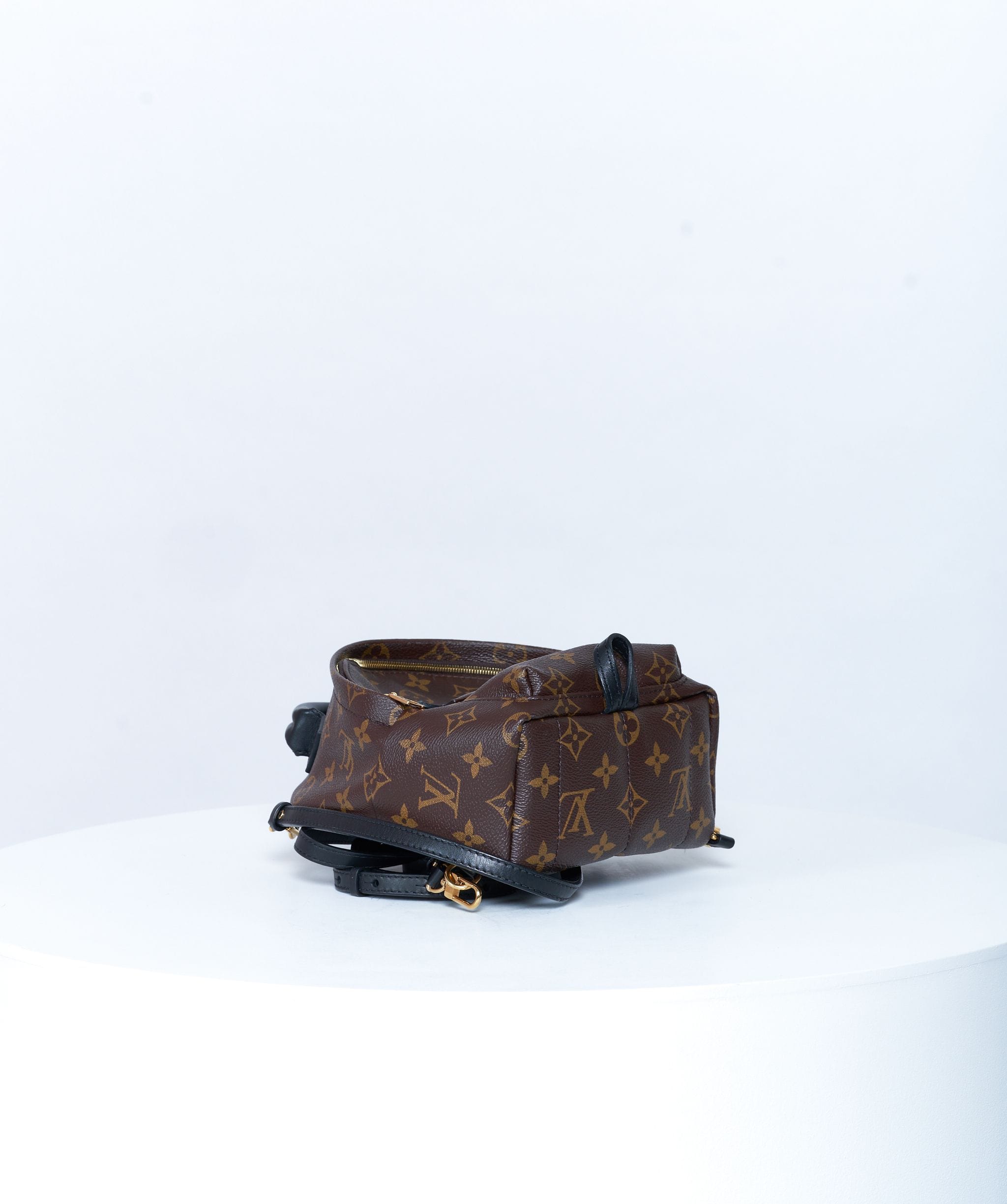 Louis Vuitton Louis Vuitton Palm Springs Monogram Backpack