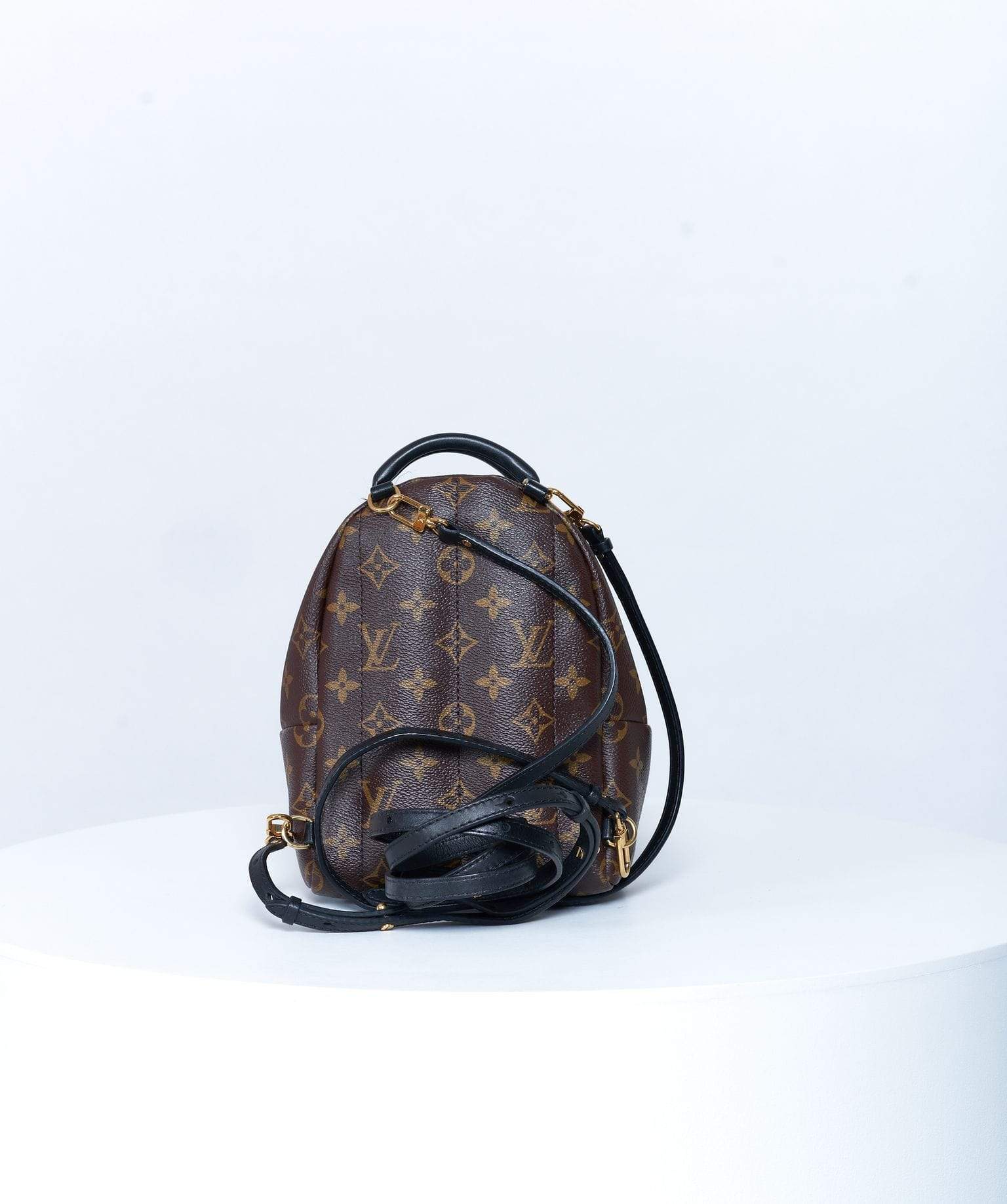 Louis Vuitton Louis Vuitton Palm Springs Monogram Backpack