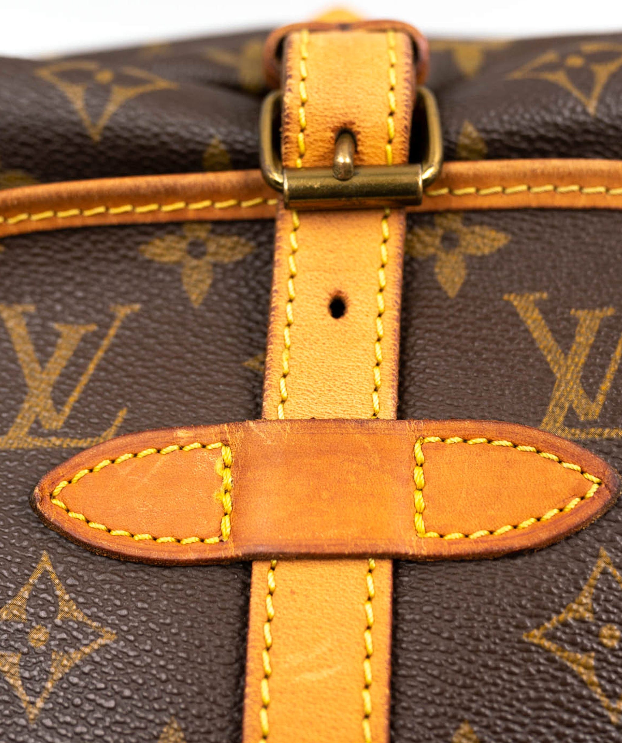 Louis Vuitton Louis Vuitton Saumur 30 Satchel Bag - AGL1423