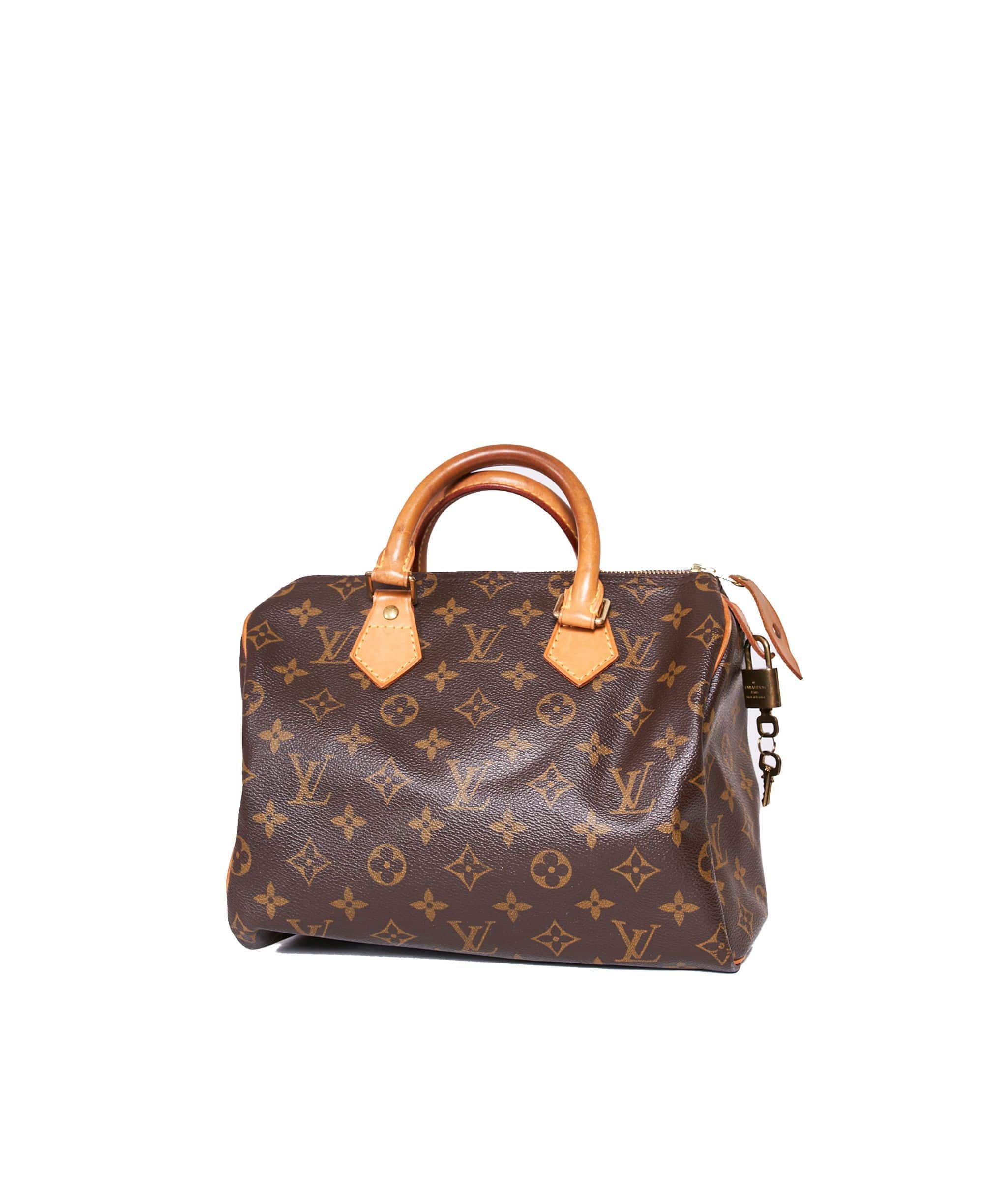 Louis Vuitton Louis Vuitton Speedy 25  AGL1007