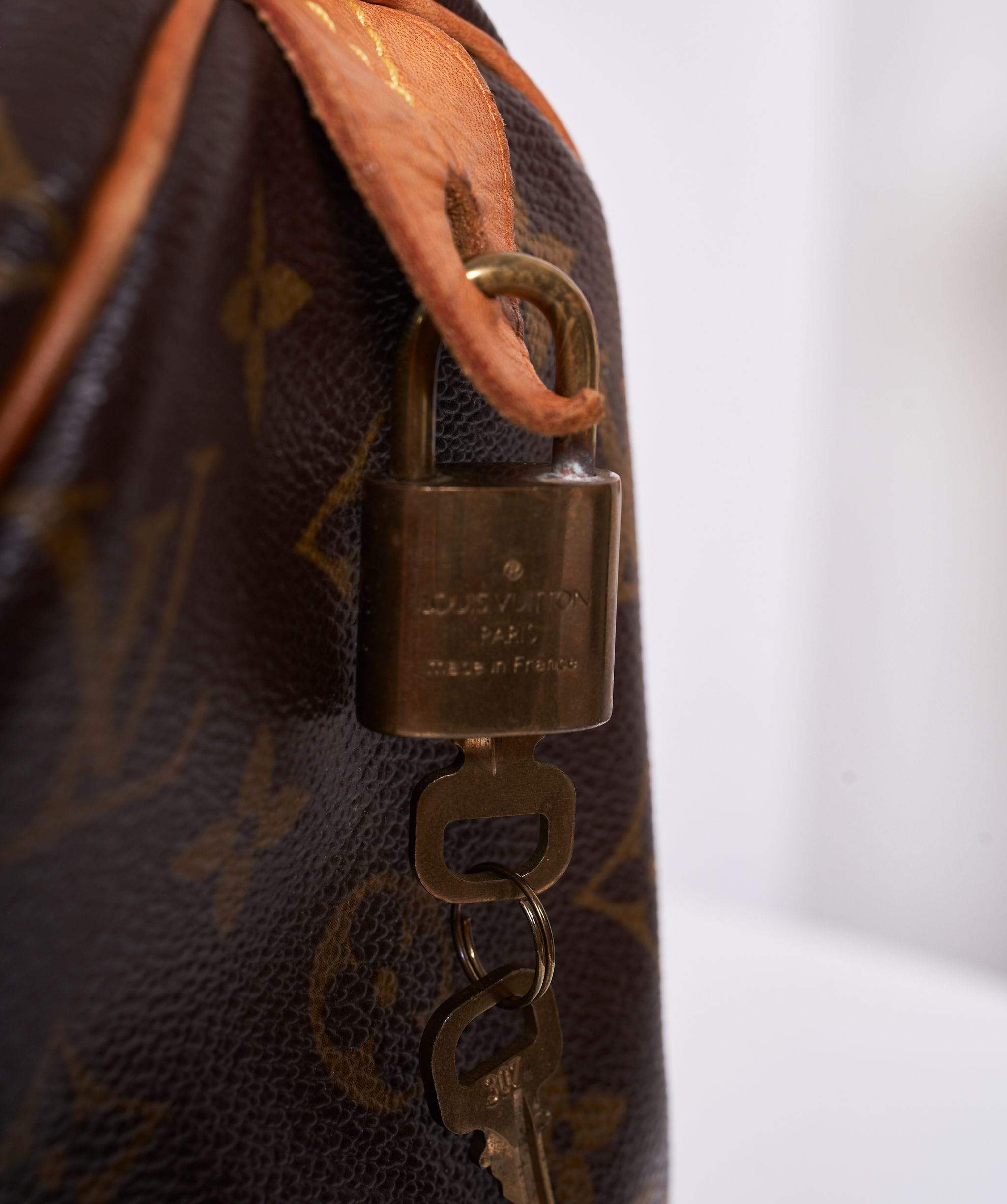 Louis Vuitton Louis Vuitton Speedy 25  AGL1007