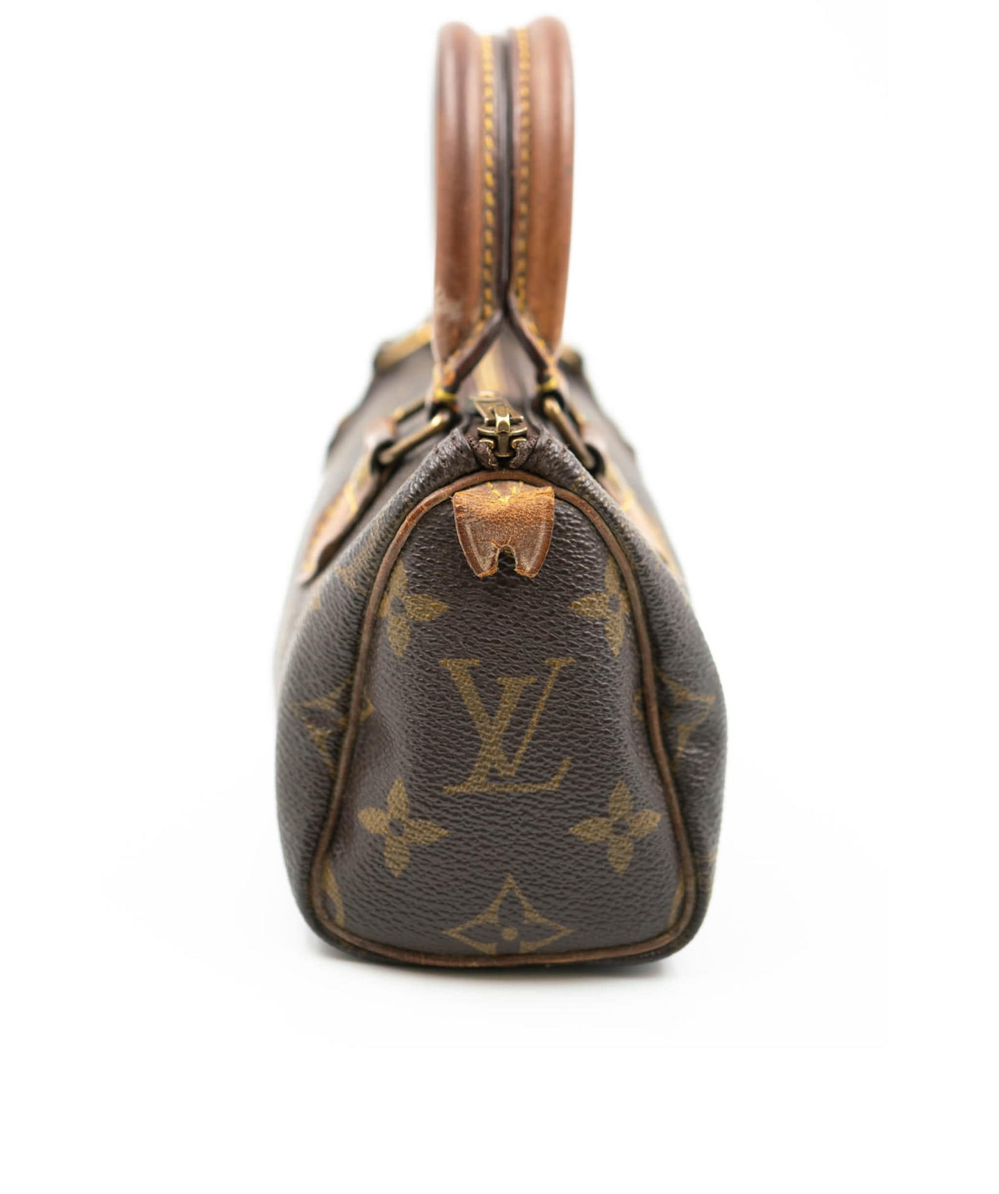 Louis Vuitton Louis vuitton speedy nano ALC0018