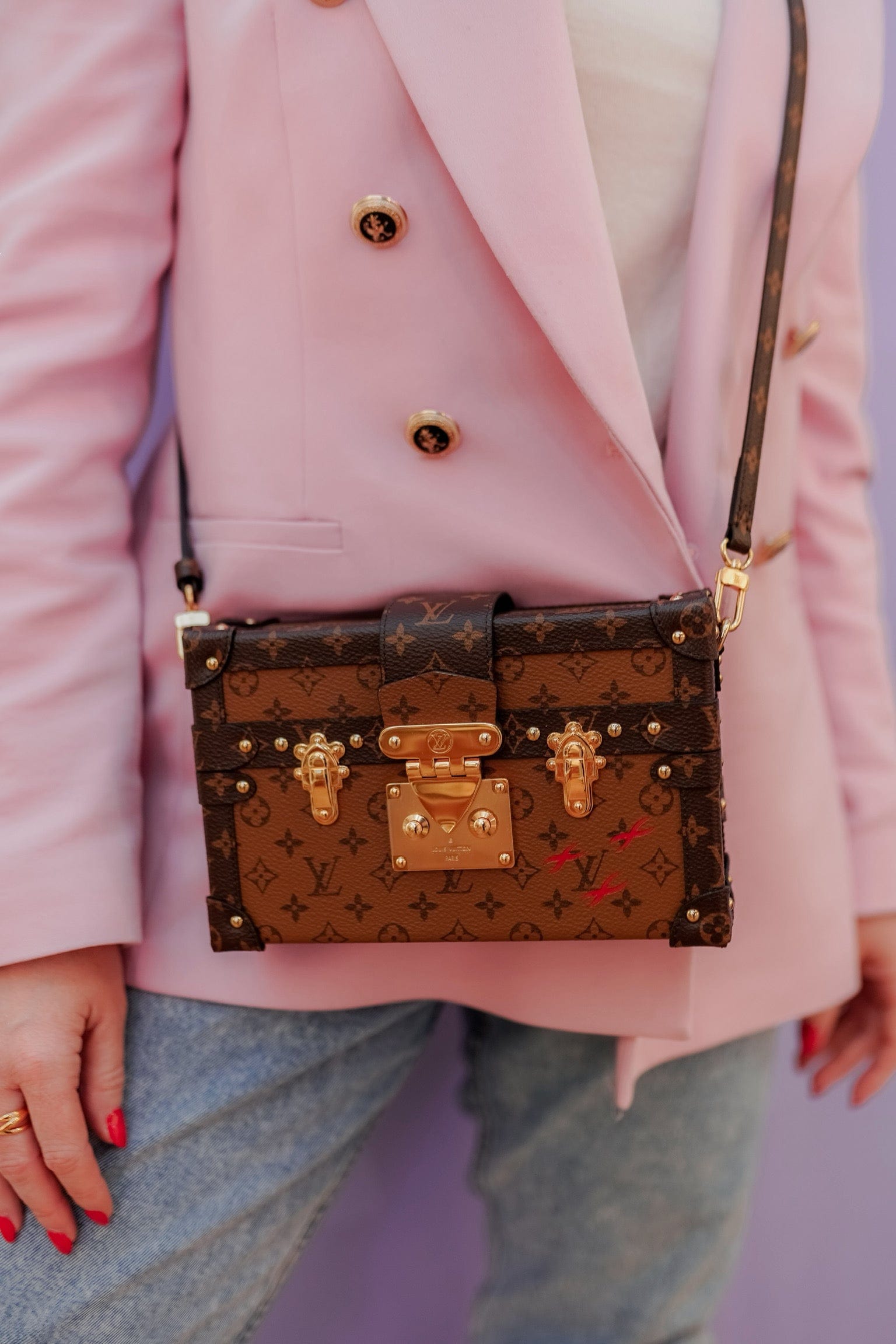 Louis Vuitton Lous Vuitton Petite Malle Bag  - ADL1811