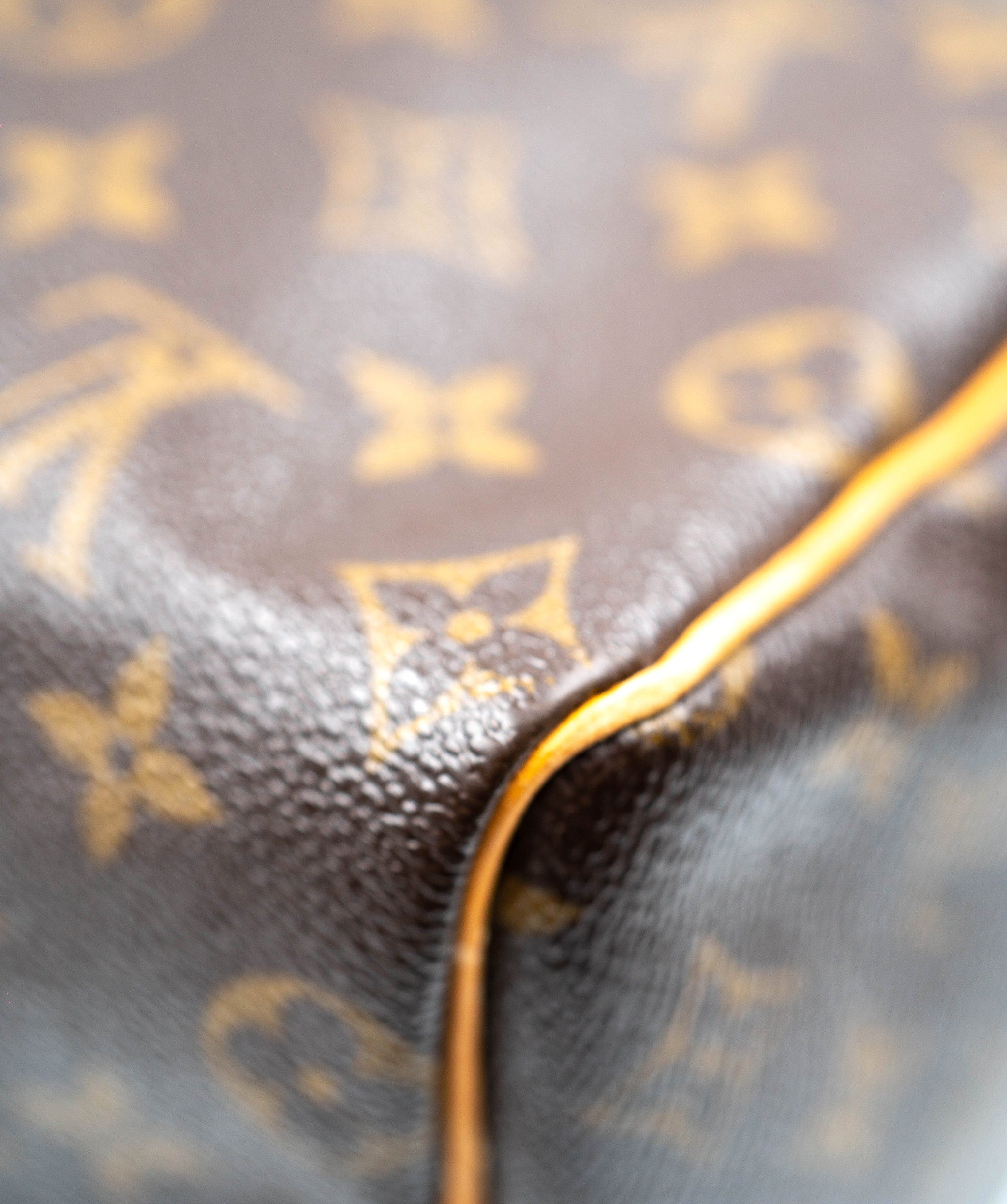 Louis Vuitton Lv Speedy 25 - AGL2131