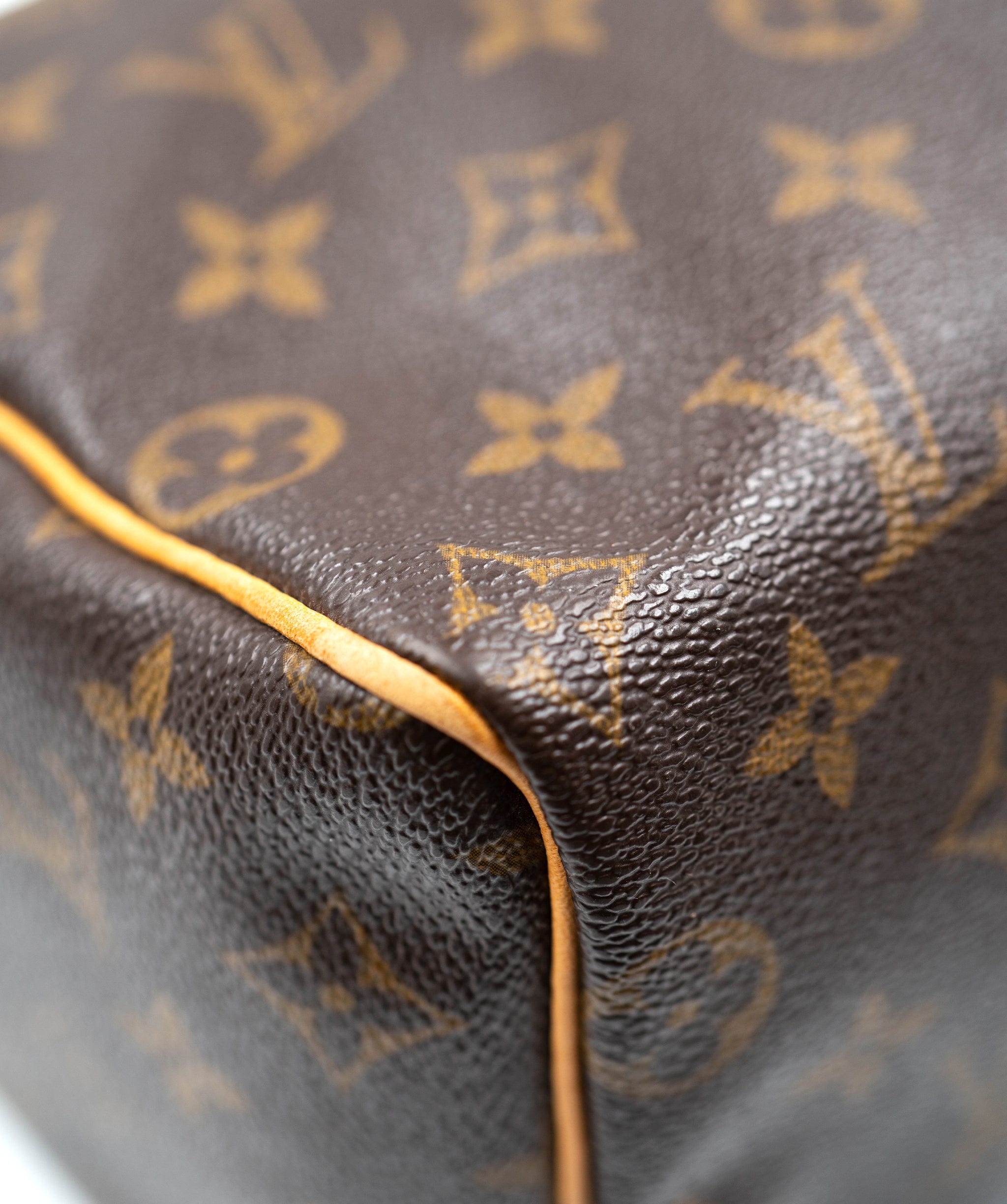 Louis Vuitton Lv Speedy 25 - AGL2131