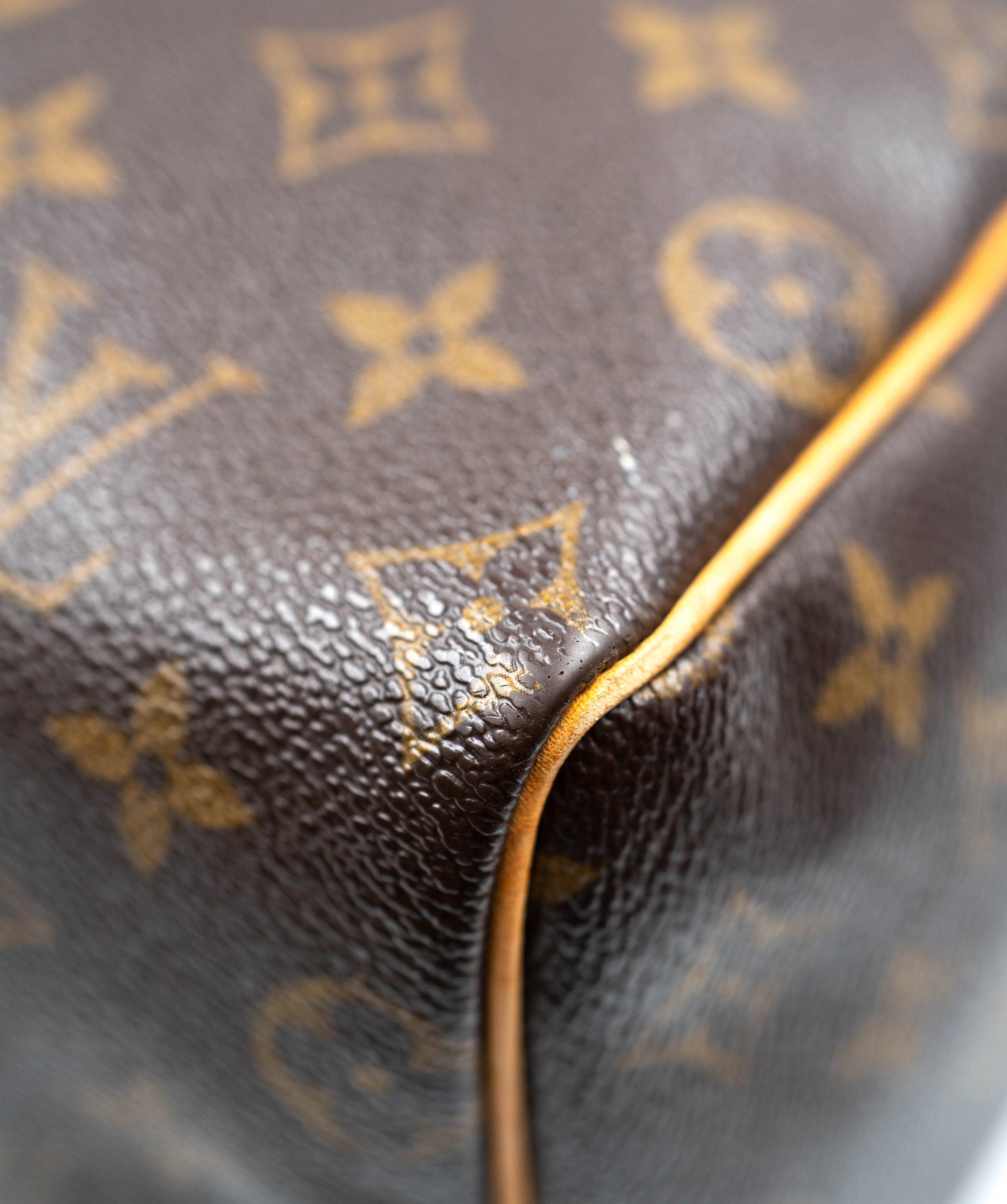 Louis Vuitton Lv Speedy 25 - AGL2131