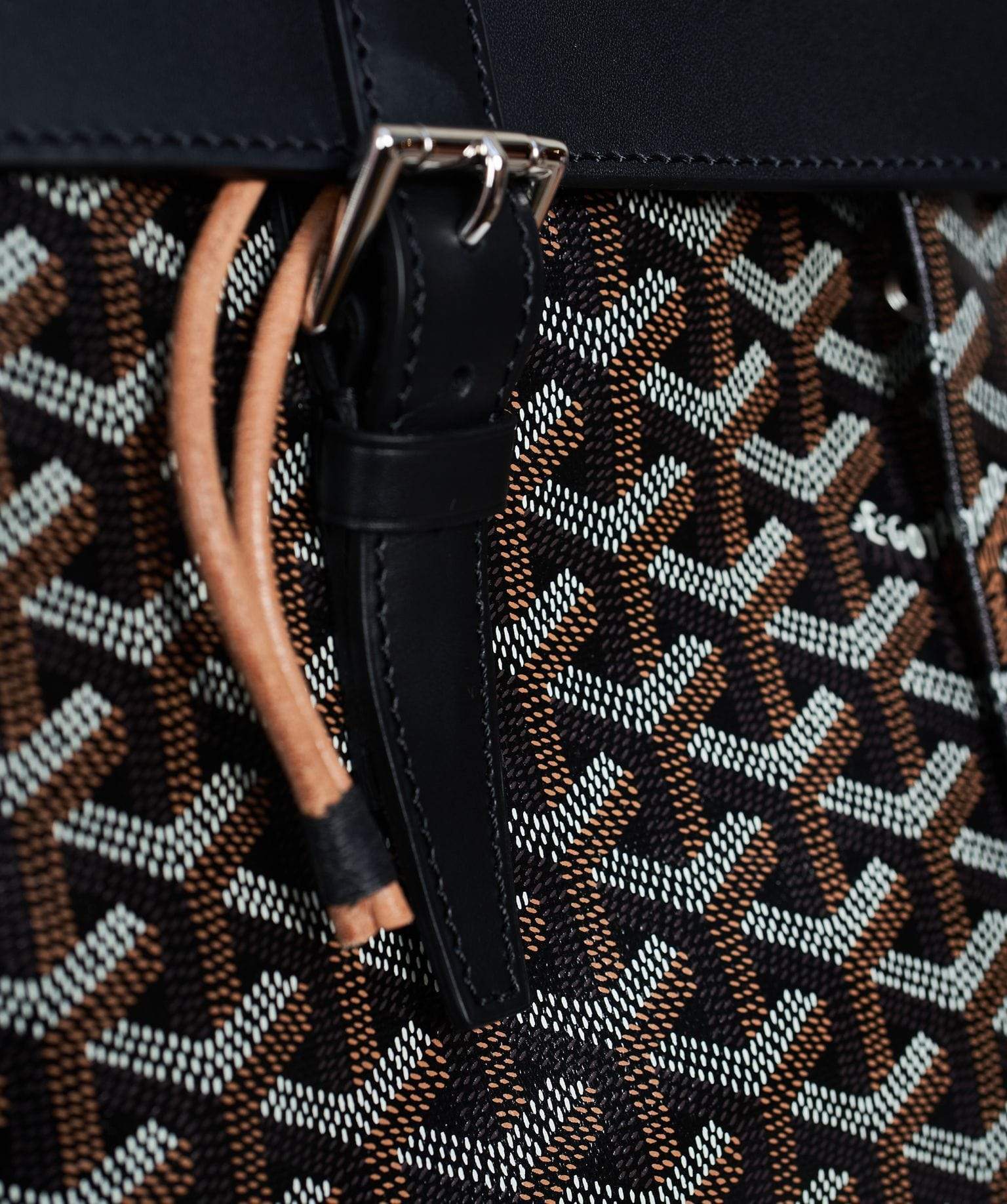 Luxury Promise Goyard Alpine Backpack in black