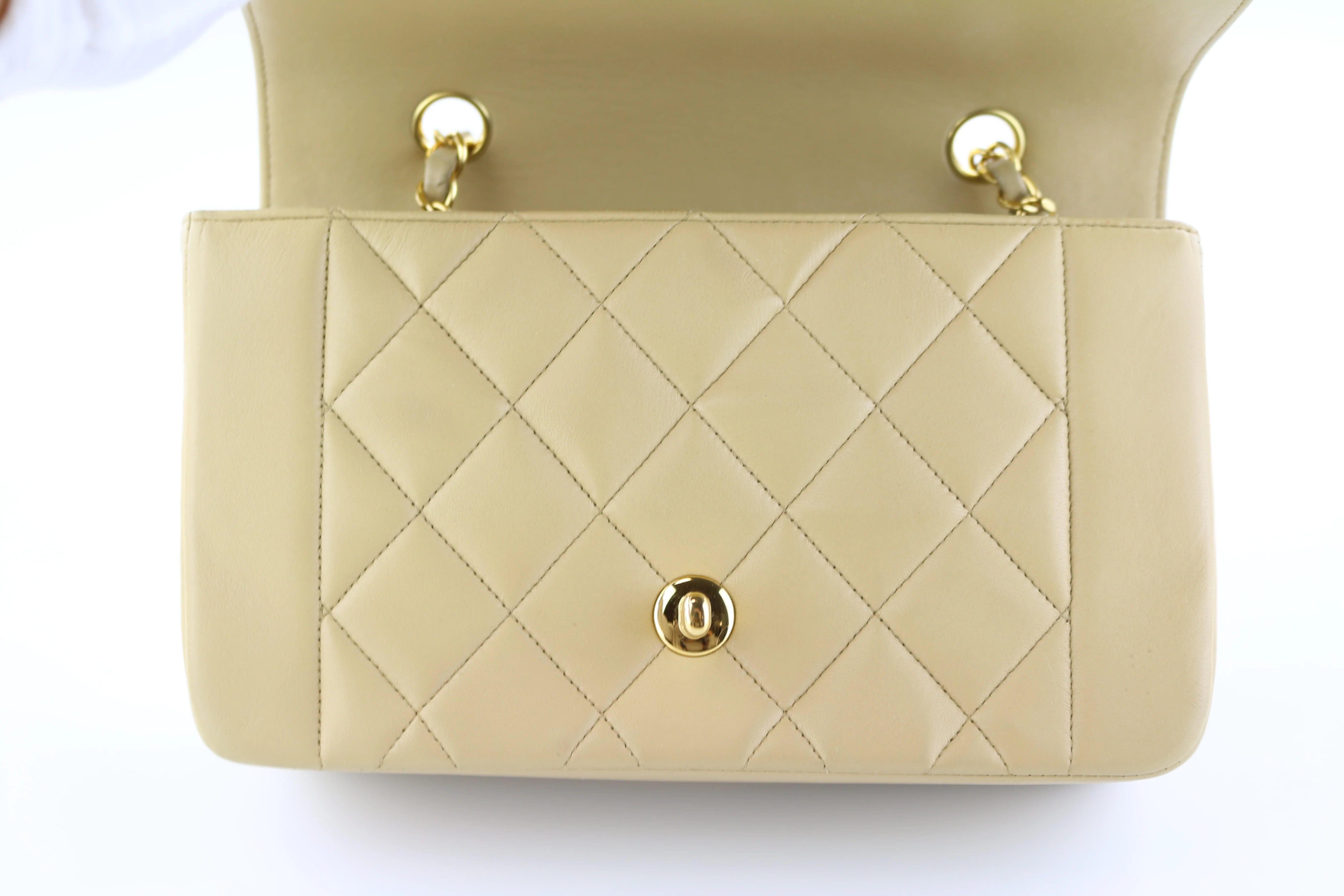 LuxuryPromise Chanel Beige Diana small