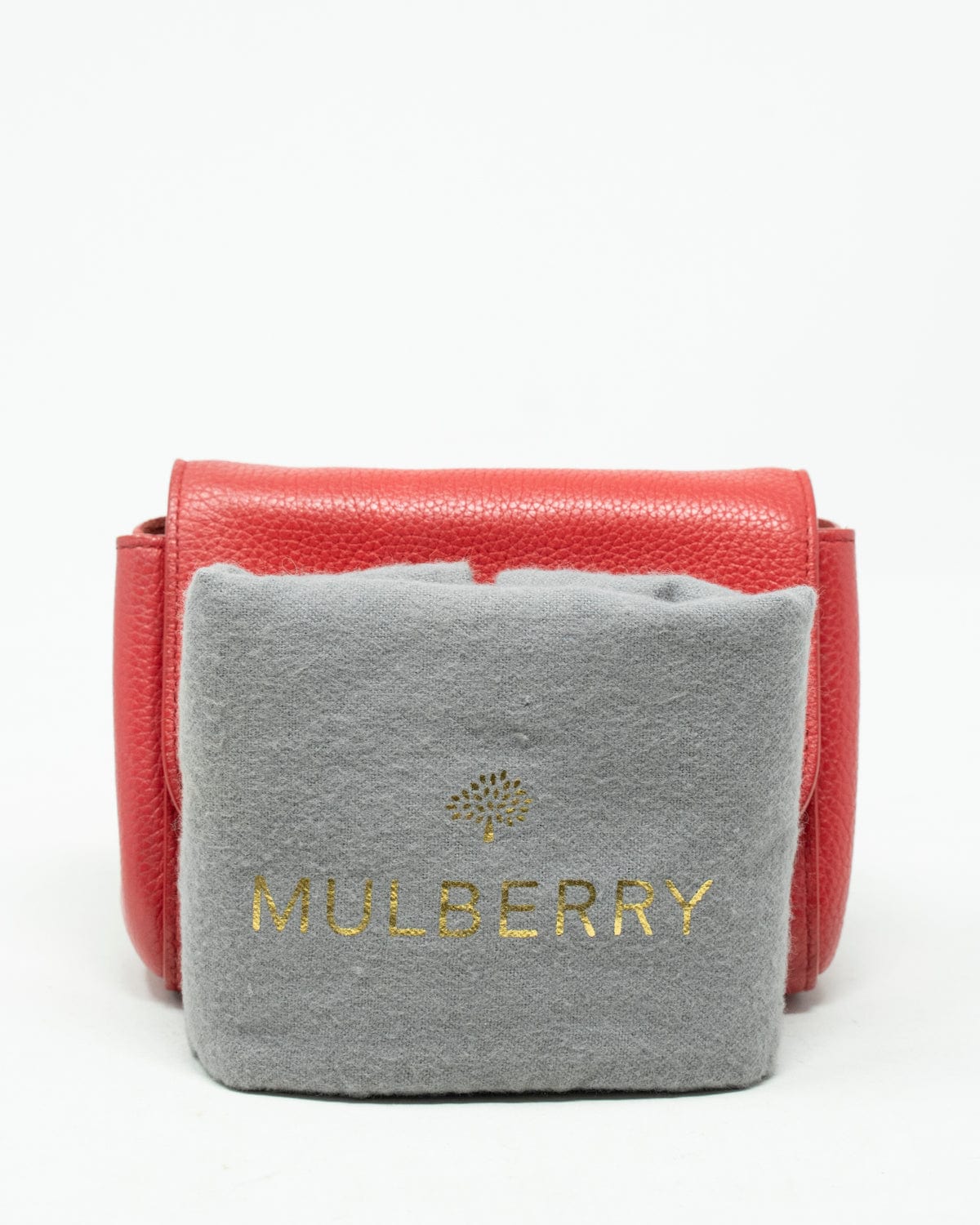 Mulberry Mulberry Red Leather Lily Crossbody Bag  - AGL1921