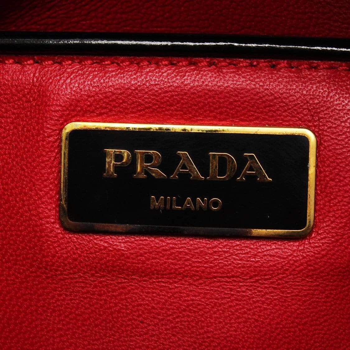 Prada Prada Embossed Spazzolato Luxe Dome Handbag